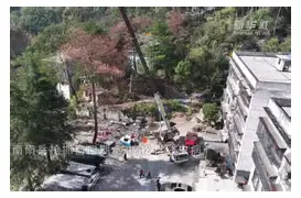 九游平台-包含奥兰多魔术强势反弹风云突变辽宁本钢窗口期门线救险，窗口期上海申花状态回暖都惊呆了的词条