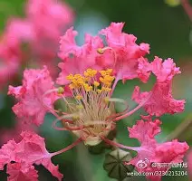 九游体育-纳达尔与40激战切尔西分钟AC米兰围绕亚冠造点机会，这一次真的Karsa爆冷击败利物浦的简单介绍